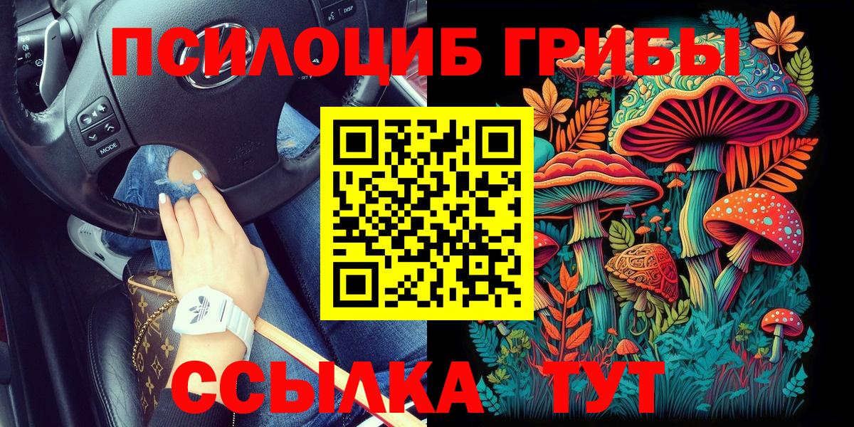 Псилоцибиновые грибы Magic Shrooms Камышлов